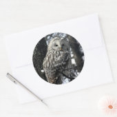 Watchful Owl Ronde Sticker (Envelop)