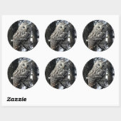 Watchful Owl Ronde Sticker (Vel)