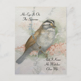 Watchful Song Sparrow Bible Quote Waterverf Briefkaart
