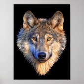 Watchful Wolf Poster (Voorkant)