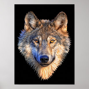 Watchful Wolf Poster