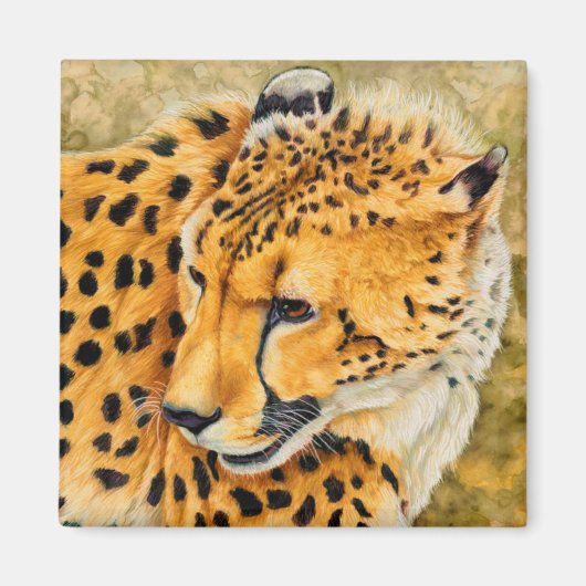 Watching - Cheetah Art Magnet (Devant)