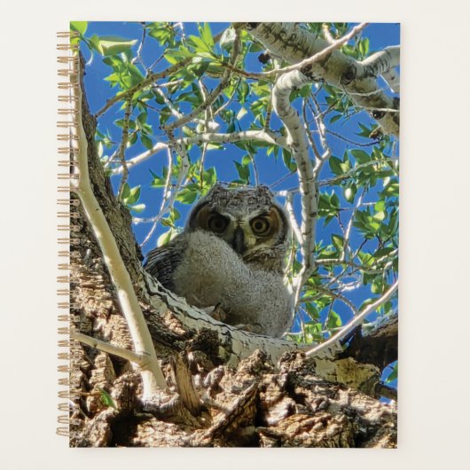 Watching You Planner (Devant)