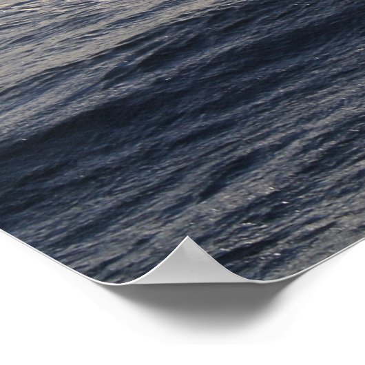 Water 8 poster (Hoek)