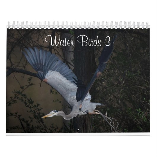 Water Birds 3 Twee pagina's MediumCalendar, Wit Kalender (Hoes)