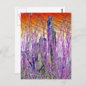 WATER BRIEFKAART (Voorkant / Achterkant)