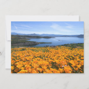 Water California Lake With Golden Poppies Bedankkaart