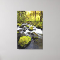 Water dat door met moss beklede raketten in een st