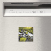 Water dat door met moss beklede raketten in een st magneet (Insitu (Vaatwasser))