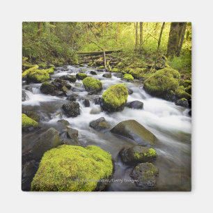 Water dat door met moss beklede raketten in een st magneet