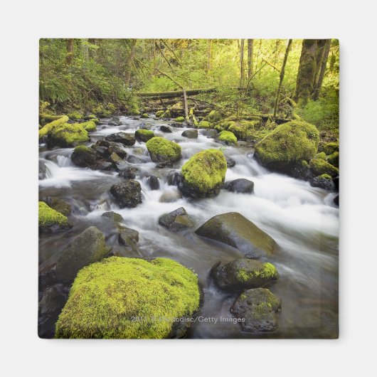 Water dat door met moss beklede raketten in een st magneet (Voorkant)