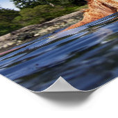 Water Dog - Fine Art Prints (Hoek)
