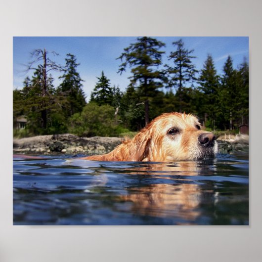 Water Dog - Fine Art Prints (Voorkant)