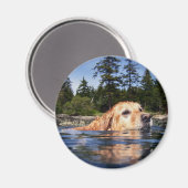Water Dog - MAgnet (Recto/Verso)