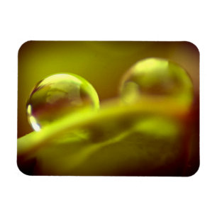 Water Drop Premium Magnet Magneet