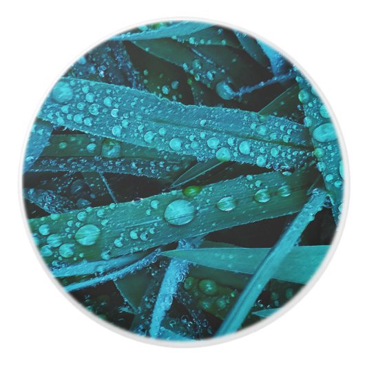 Water Drops Along the Grass Keramische Knop (Voorkant)