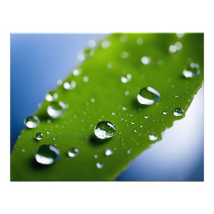 Water druppels op bladeren foto afdruk