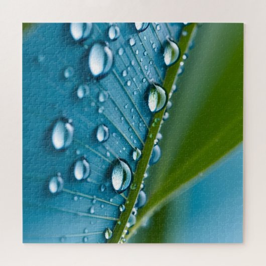 Water druppels op bladeren legpuzzel (Horizontaal)