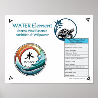 Water Element Acupunctuur Poster