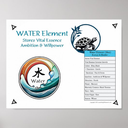 Water Element Acupunctuur Poster (Voorkant)