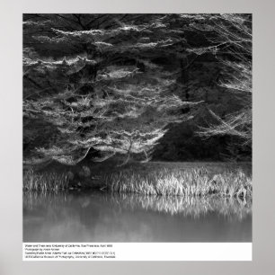 Water en bomen bij UC San Francisco, 1966 Poster