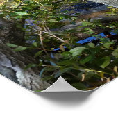 water en bomen poster (Hoek)