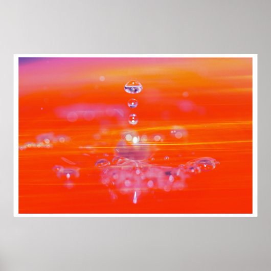 water en vijver poster (Voorkant)