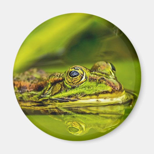 water frog magneet (Voorkant)