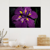 Water Iris 458 Poster (Keuken)