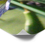 Water Iris op de vijver Poster (Hoek)