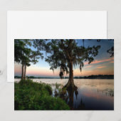 Water | Kraft Azalea Park Maitland Florida Bedankkaart (Voorkant / Achterkant)