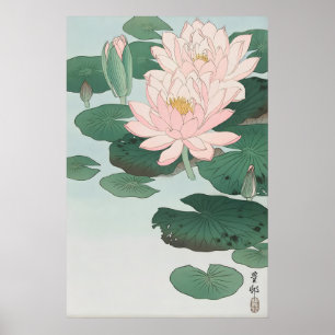 Water Lelie Fijne Kunstprint  Ohara Koson Japans Poster