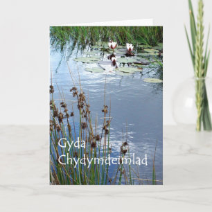 Water Lelies Sympathy Card - Welsh Groet Kaart