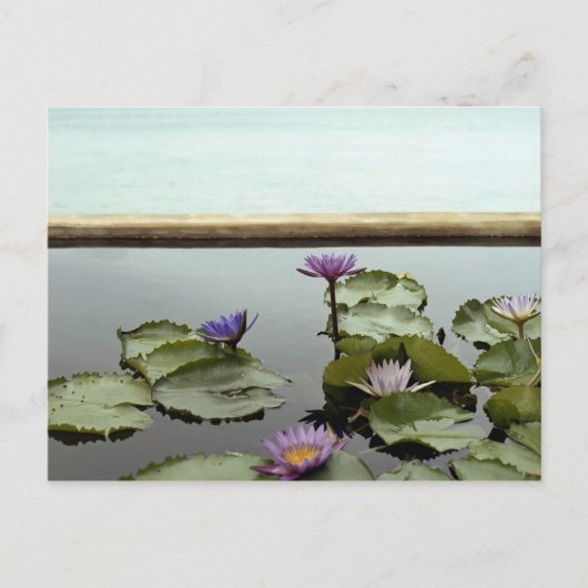 Water ligt in een vijver op zee briefkaart (Voorkant)