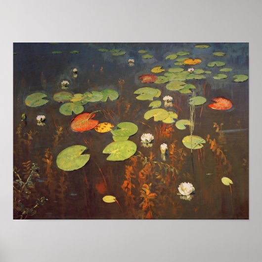 Water Lilies 1895 Poster (Voorkant)