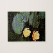 Water-Lilies: 1897-1998, Monet Legpuzzel (Horizontaal)