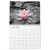 Water Lilies 2017 Kalender (Mar 2027)