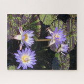 Water Lilies Legpuzzel (Horizontaal)