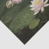 Water Lilies (roze) van Abbott Thayer Tissuepapier (Detail)