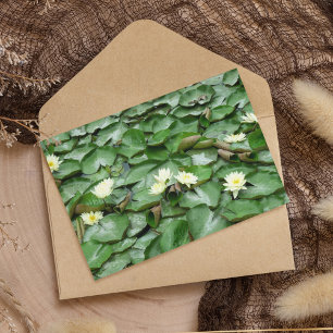Water Lillies Briefkaart