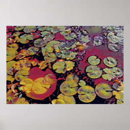 Water Lillies Poster