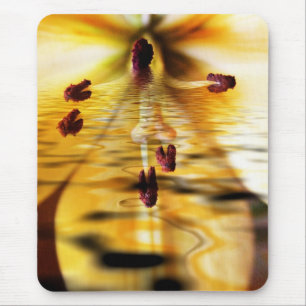 Water Lillium Muismat