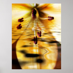 Water Lillium Print