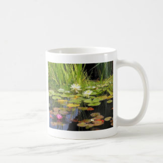 Water Lilly Flowers Koffiemok
