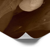 Water Lilly Poster (Hoek)