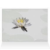 Water Lily (Binnen Horizontaal (Boven))