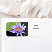 Water Lily 2 Etiket (Insitu)