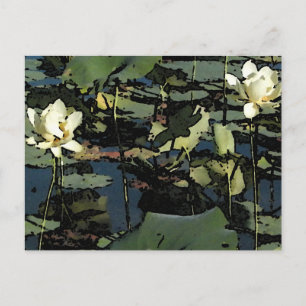 Water Lily Blossom Briefkaart