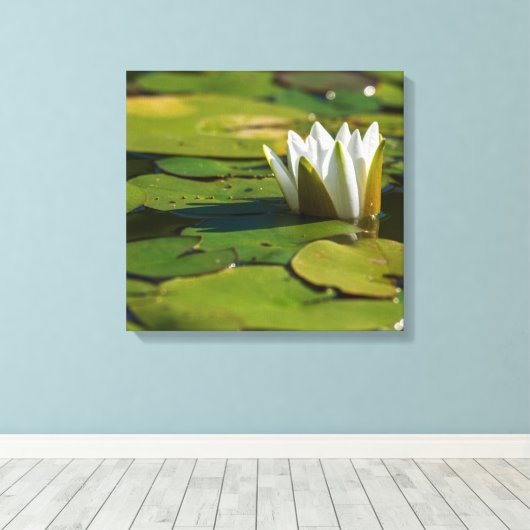 Water Lily Blossom Canvas Afdruk (Insitu (Houten vloer))
