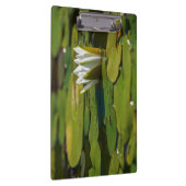 Water Lily Blossom Klembord (Rechts)